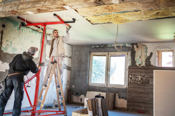 Best Attic Insulation Installation  in Cairo, IL