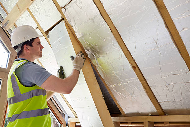 Best Affordable Insulation Services  in Cairo, IL
