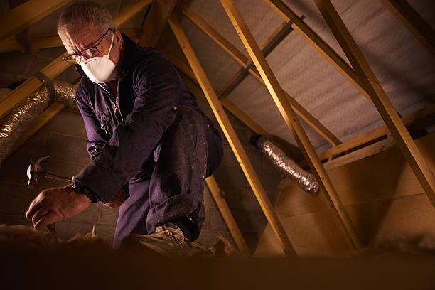 Best Garage Insulation Installation  in Cairo, IL